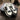 Chanel Sneakers Zwart Wit